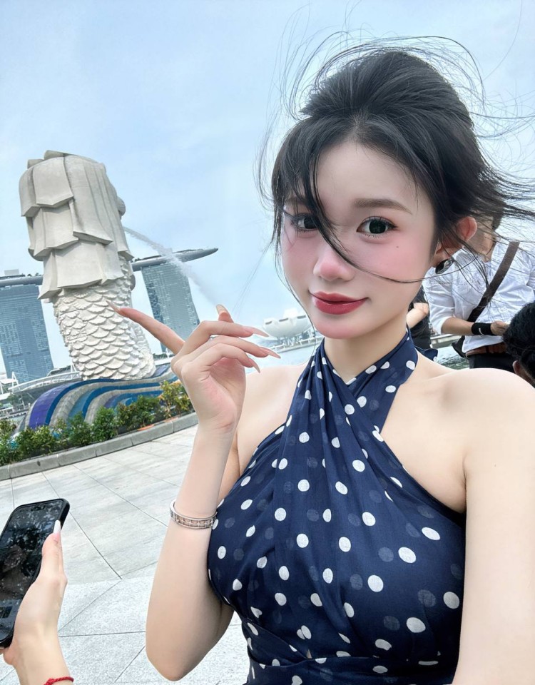 成全视频免费在线观看完整,免费高清播放